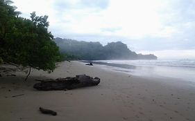 La Ballena Roja Guest House And Cafe