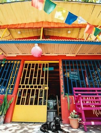 La Ballena Roja Guest House And Cafe Uvita Exterior foto